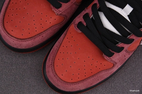 313170-661 Low Lobster SB Nike Concepts Dunk Red 0909